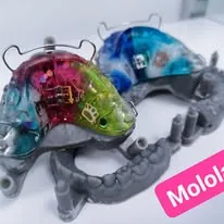 Molo lab